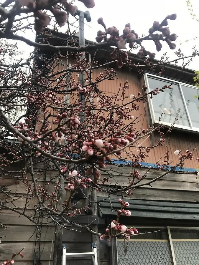 Shabby House 호텔 삿포로 시