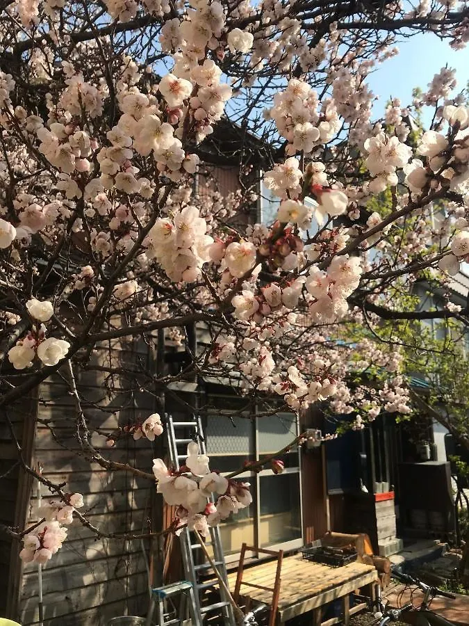 Shabby House 호텔 삿포로 시 게스트하우스 삿포로 시